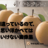 【間違ってます】思い浮かべてはいけない画像展（12枚）